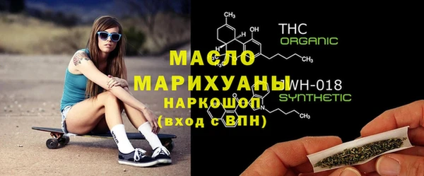 индика Вяземский
