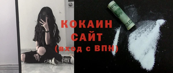 apvp Бородино