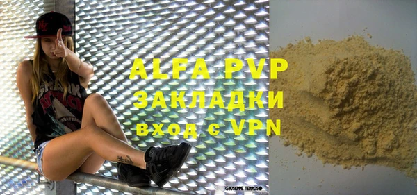 индика Вяземский