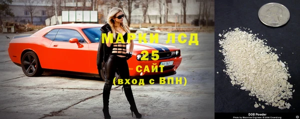 тгк Володарск