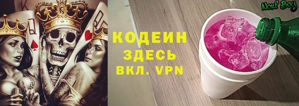 apvp Бородино