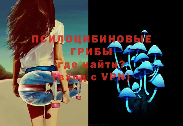 тгк Володарск