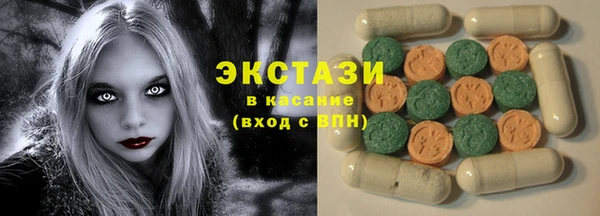 индика Вяземский